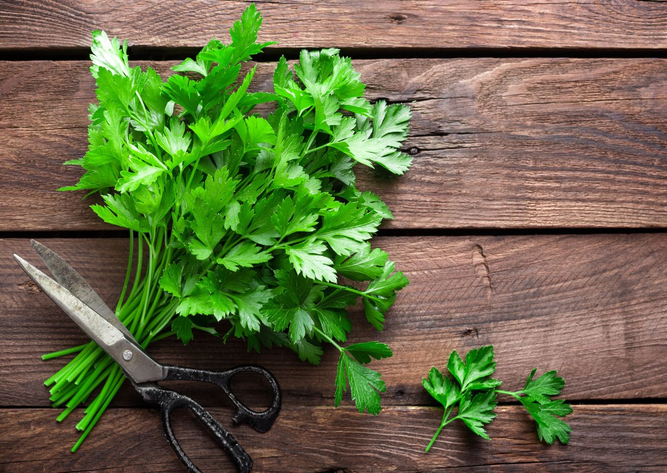 Il prezzemolo in cucina: curiosità e proprietà